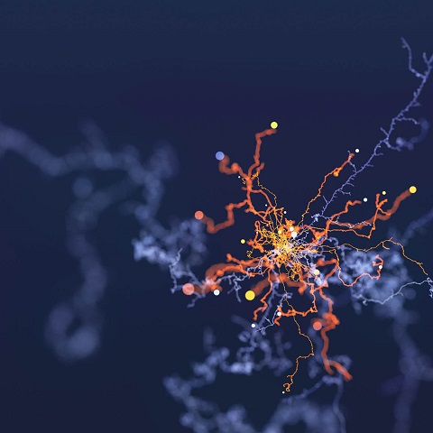 UC Irvine Comprehensive Stroke Symposium: Recent Advances and Innovations in Stroke Care and Research Banner